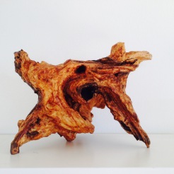 Wild wood sculpture (with Minu Agarwal)